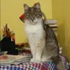 Отзыв от Ирина Столярова
